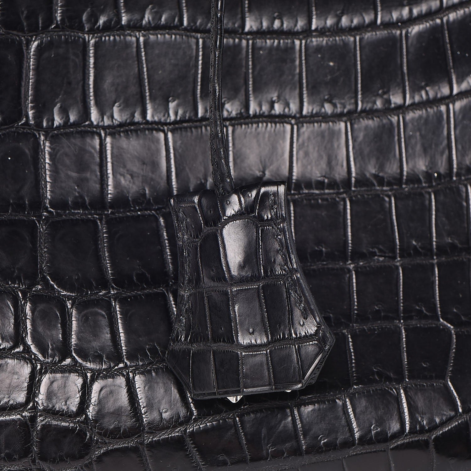 Hermes Matte Niloticus Crocodile Birkin 30 Black 23 of 27