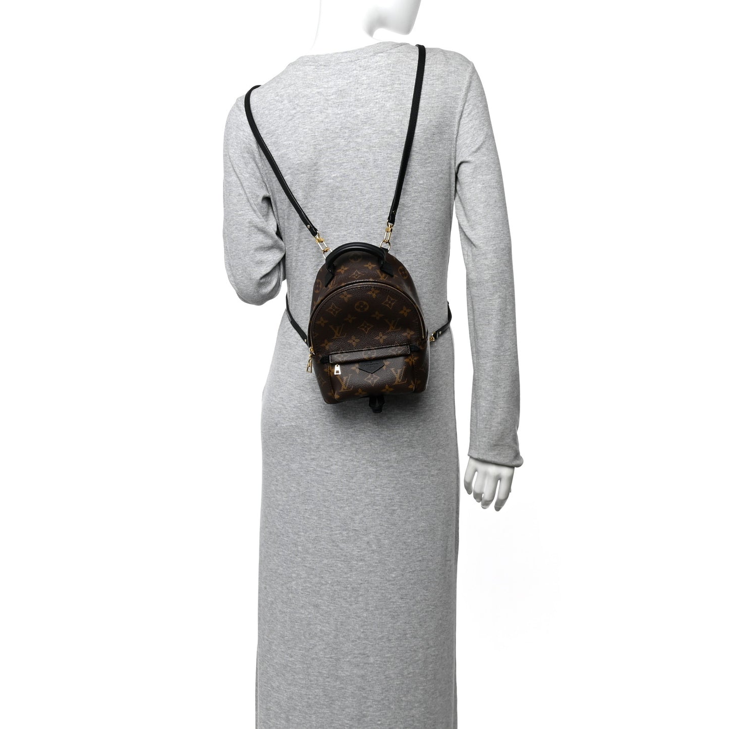 Monogram Palm Springs Backpack Mini