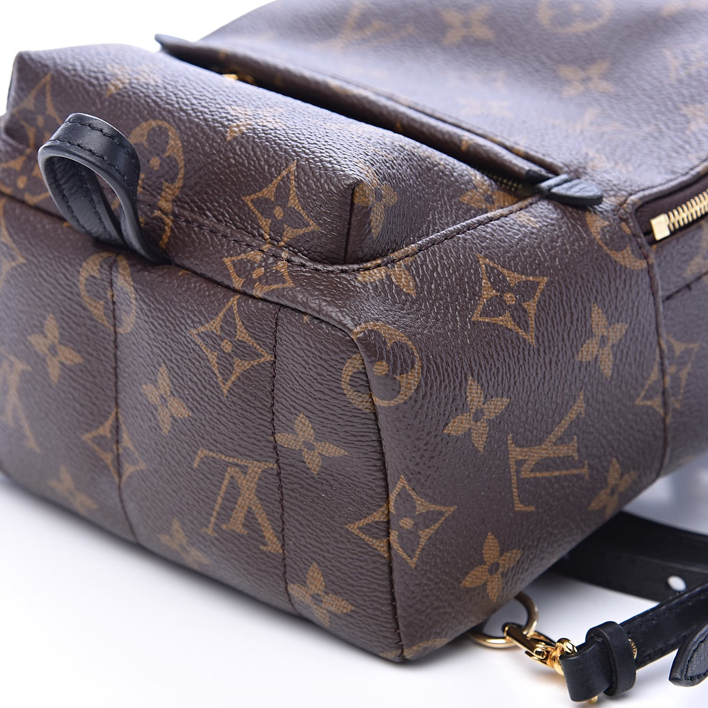 Monogram Palm Springs Backpack Mini