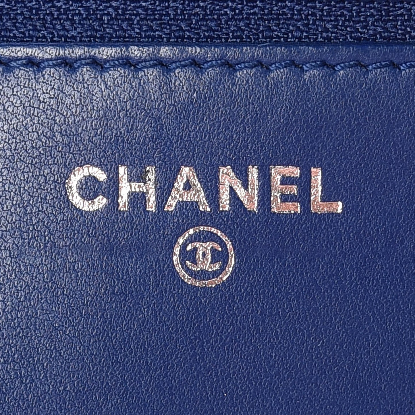 Lizard Boy Wallet on Chain WOC Blue