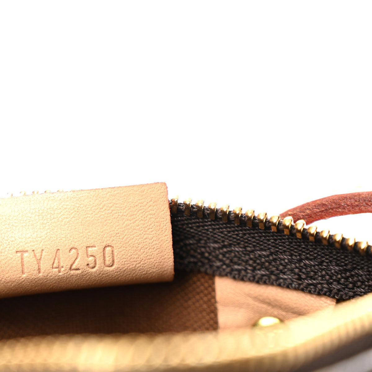 Monogram Nano Speedy