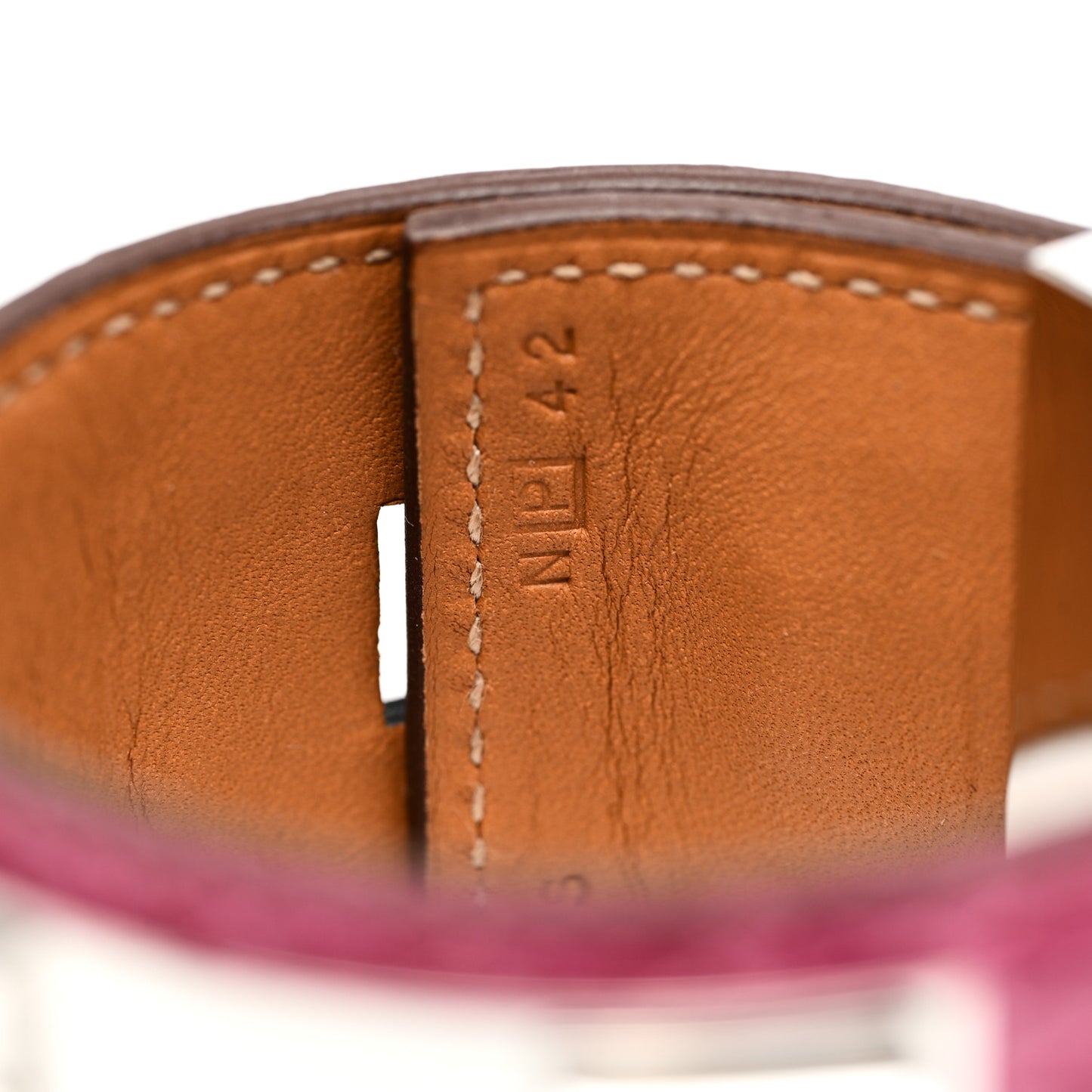 Shiny Alligator Collier De Chien CDC Bracelet S Rose Scheherazade