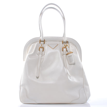 Prada Cinghiale Frame Bag White 1 of 7