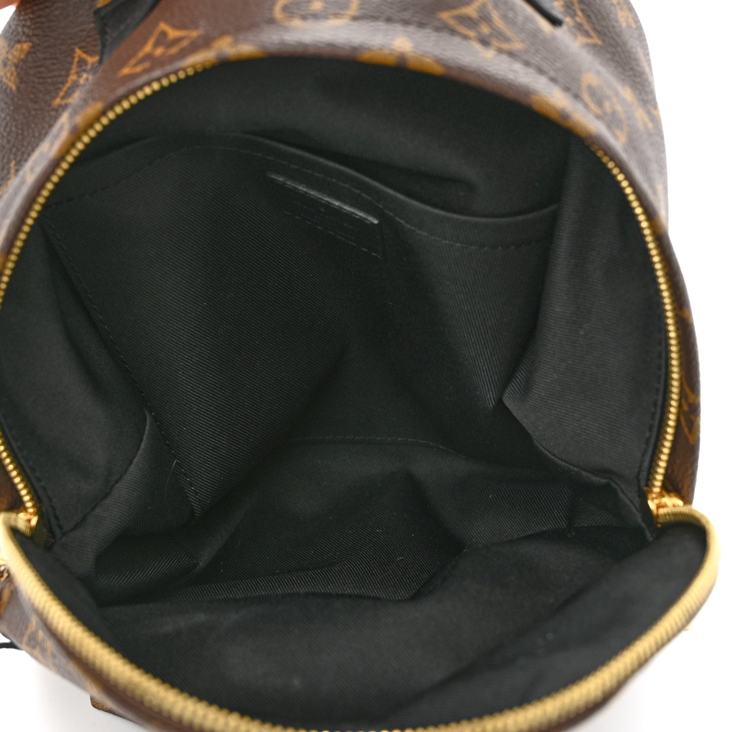Monogram Palm Springs Backpack PM