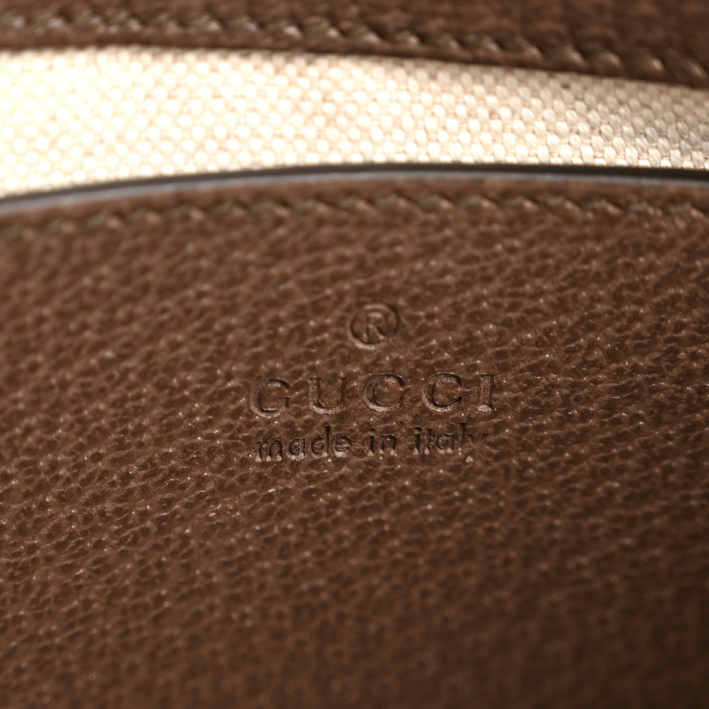 GG Supreme Monogram Textured Dollar Calfskin Web Small Ophidia GG Handbag Beige Ebony New Acero