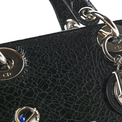 Christian Dior Ceramic Effect Deerskin Jeweled Swan Mini Lady Dior Black 17 of 18