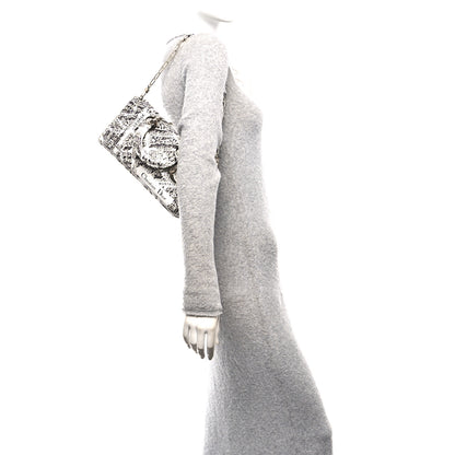 Christian Dior Calfskin Plan De Paris Printed Medium Lady D-Joy White Black 2 of 10