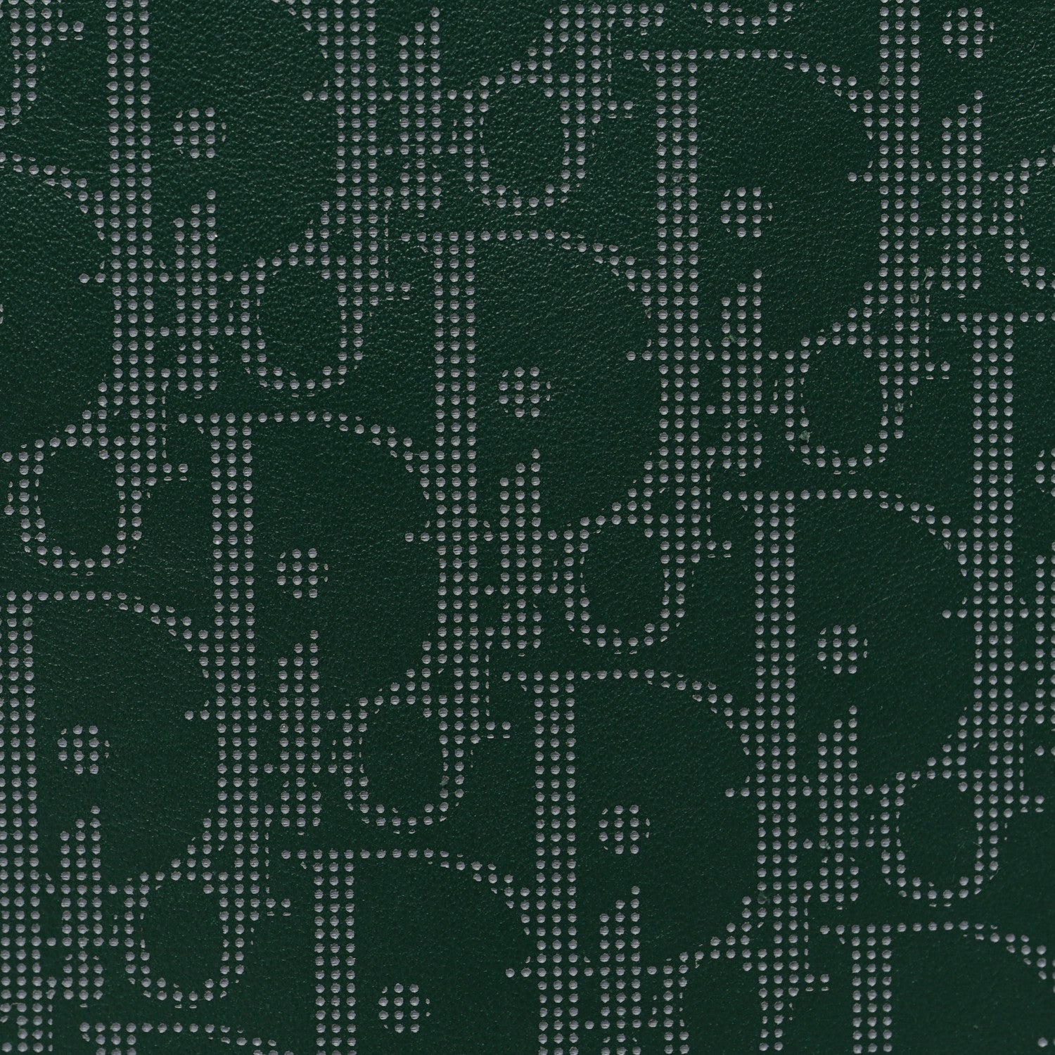 Christian Dior Calfskin Oblique Galaxy Perforated World Tour Messenger Pouch Green White 8 of 10