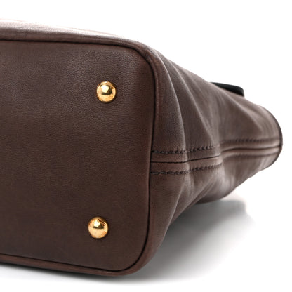 Miu Miu Nappa Medium Aventure Bag Radica 9 of 9