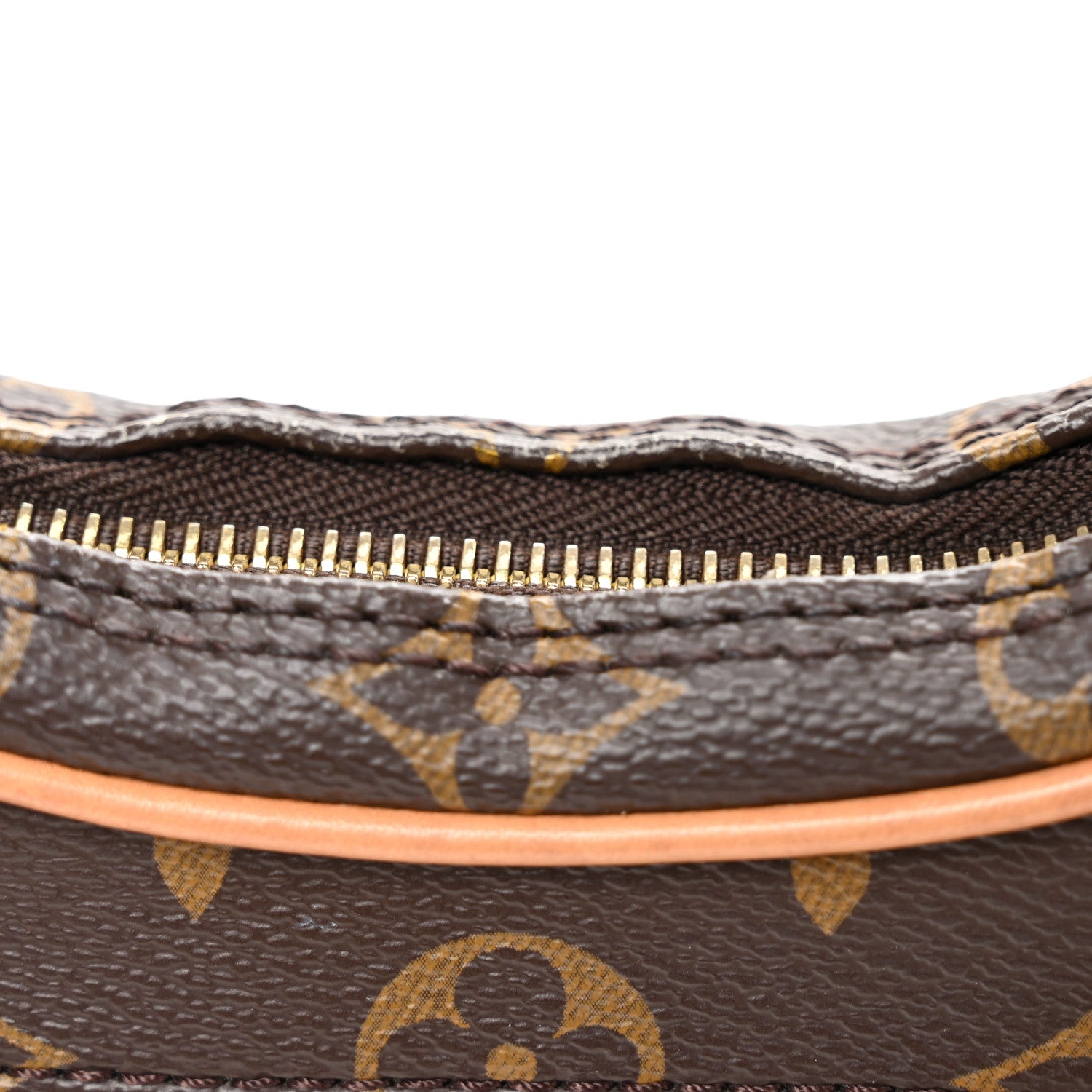 Louis Vuitton Monogram Loop 10 of 10