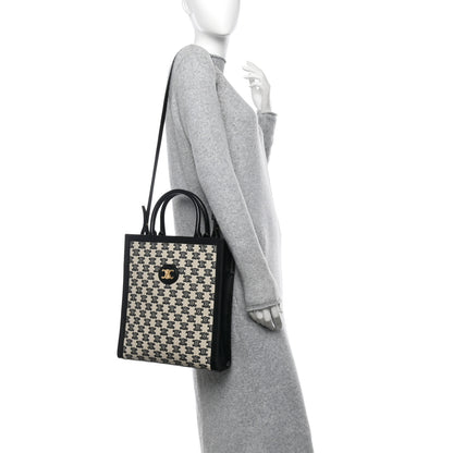 Celine Canvas Calfskin Triomphe Small Vertical Cabas Black White 2 of 12