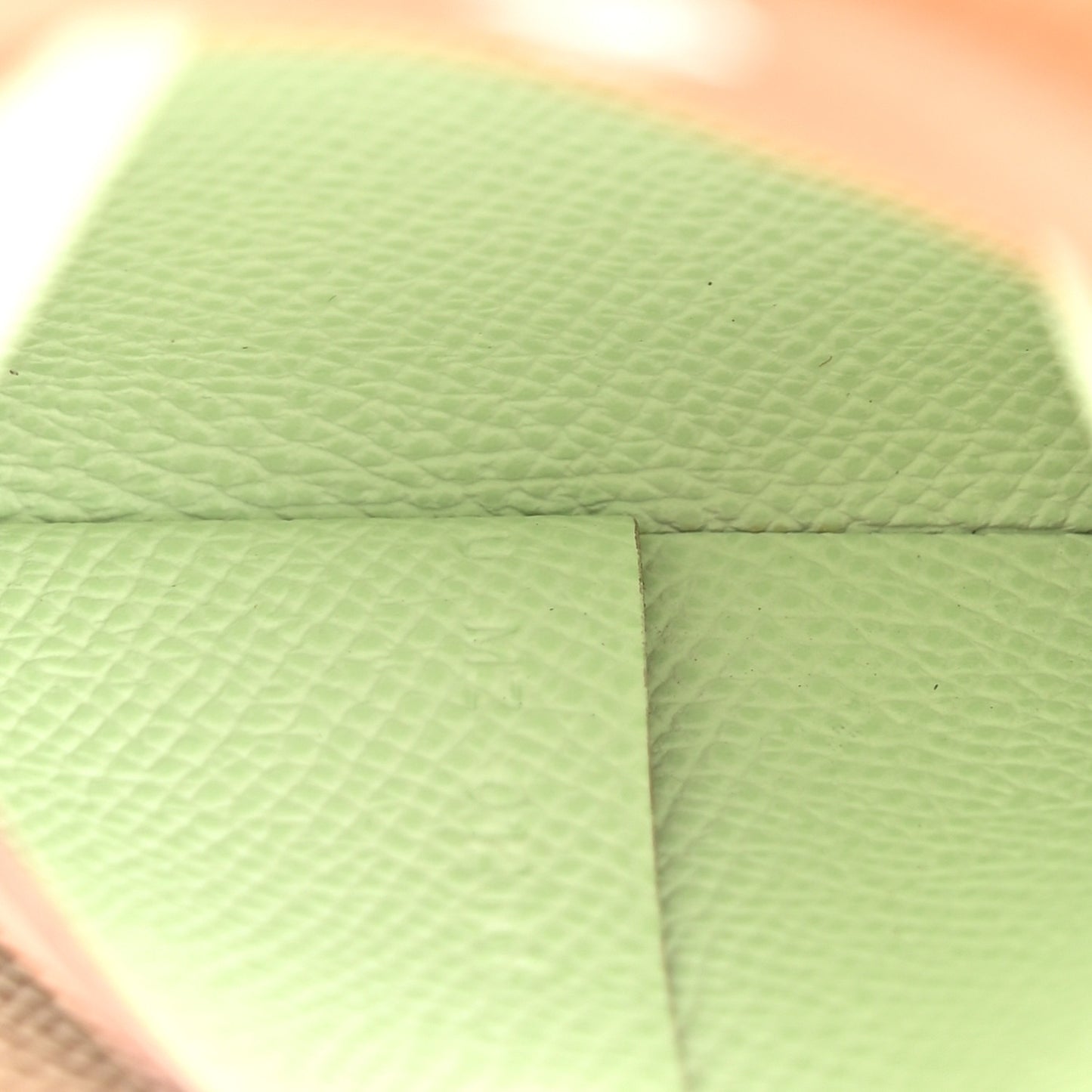 Epsom Bastia Verso Coin Purse Gold Vert Fizz