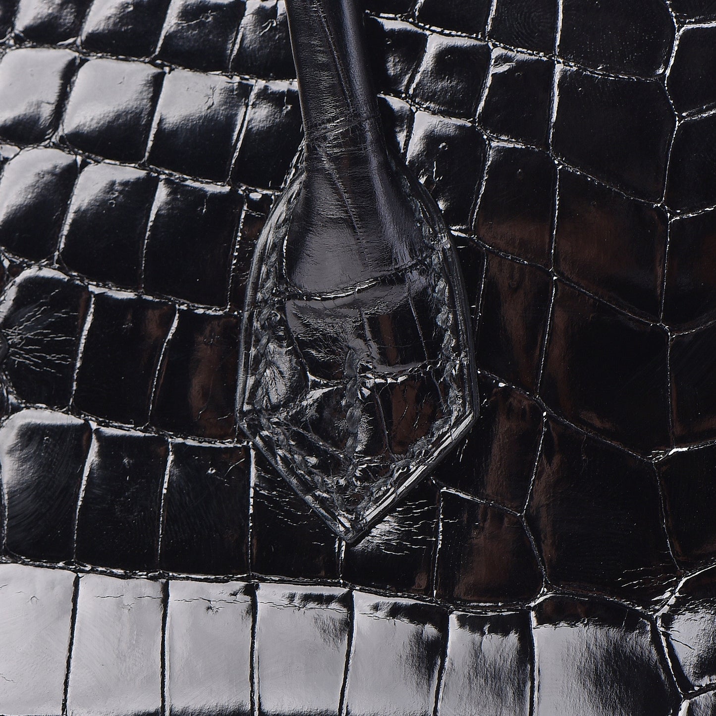 Shiny Niloticus Crocodile Birkin 25 Black