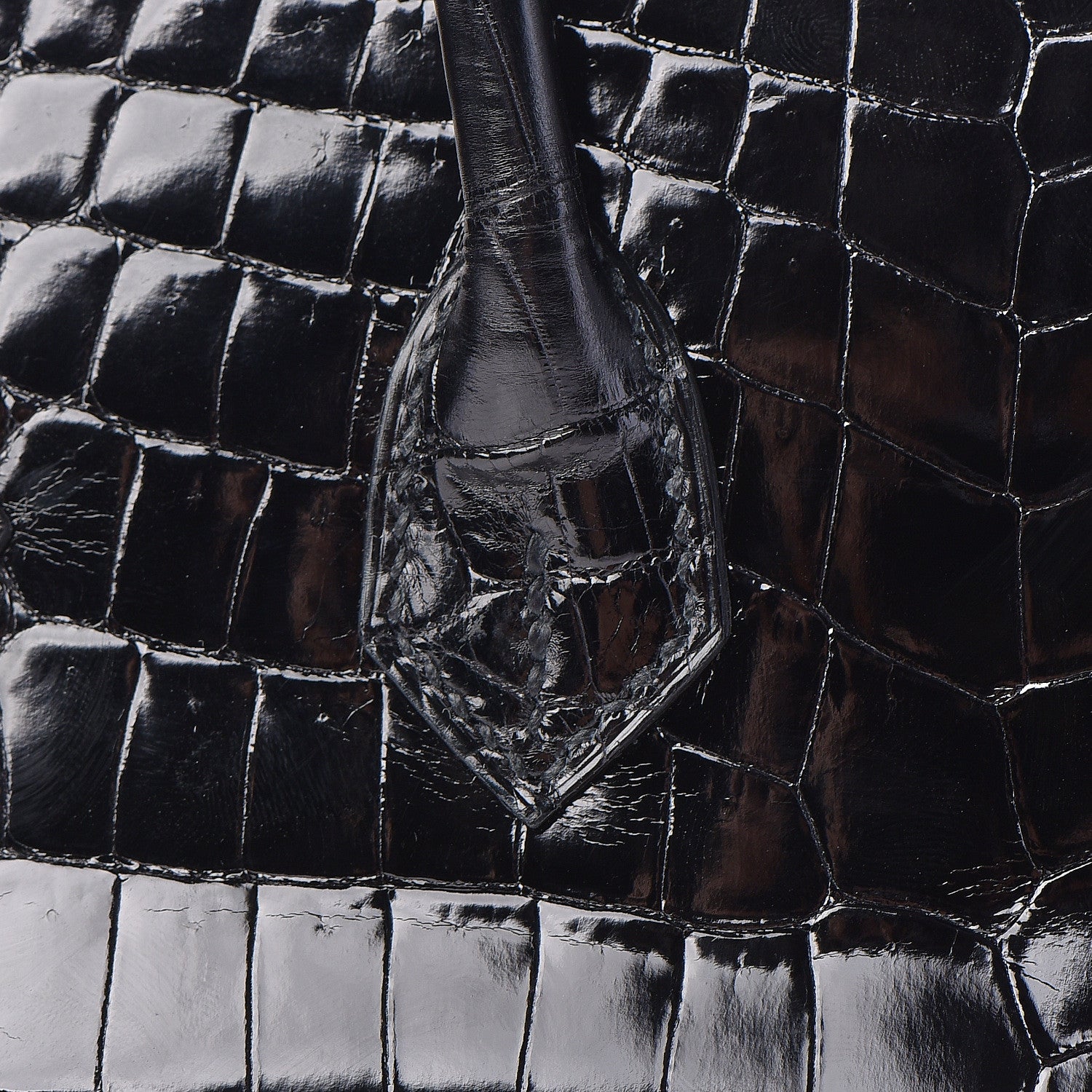 Hermes Shiny Niloticus Crocodile Birkin 25 Black 12 of 36