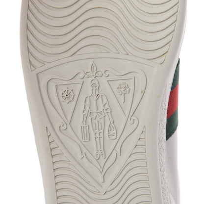 Gucci Calfskin Crocodile Web Womens Ace Sneakers 37 White Green 10 of 18