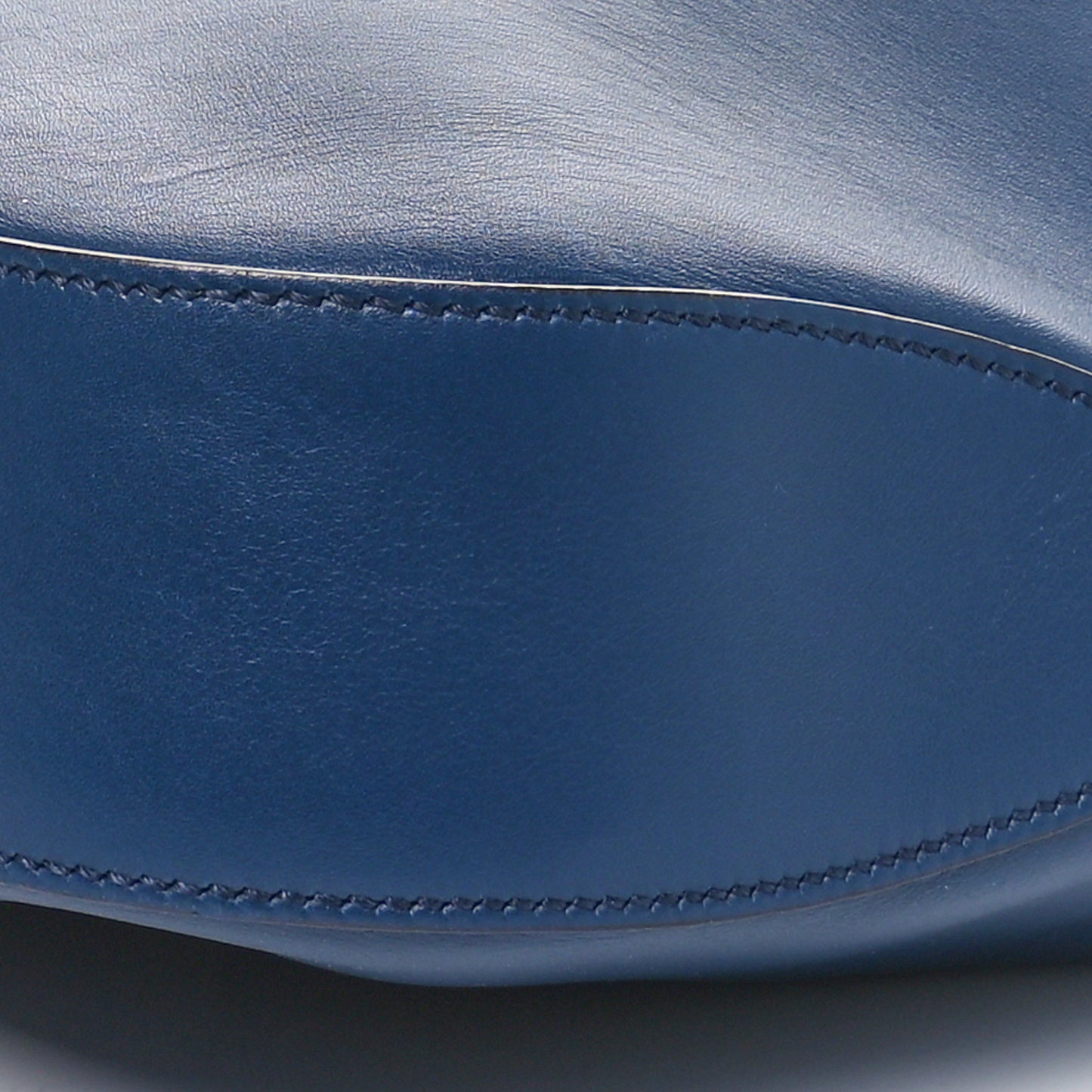 Calfskin Web Large Dionysus Hobo Blue Agata