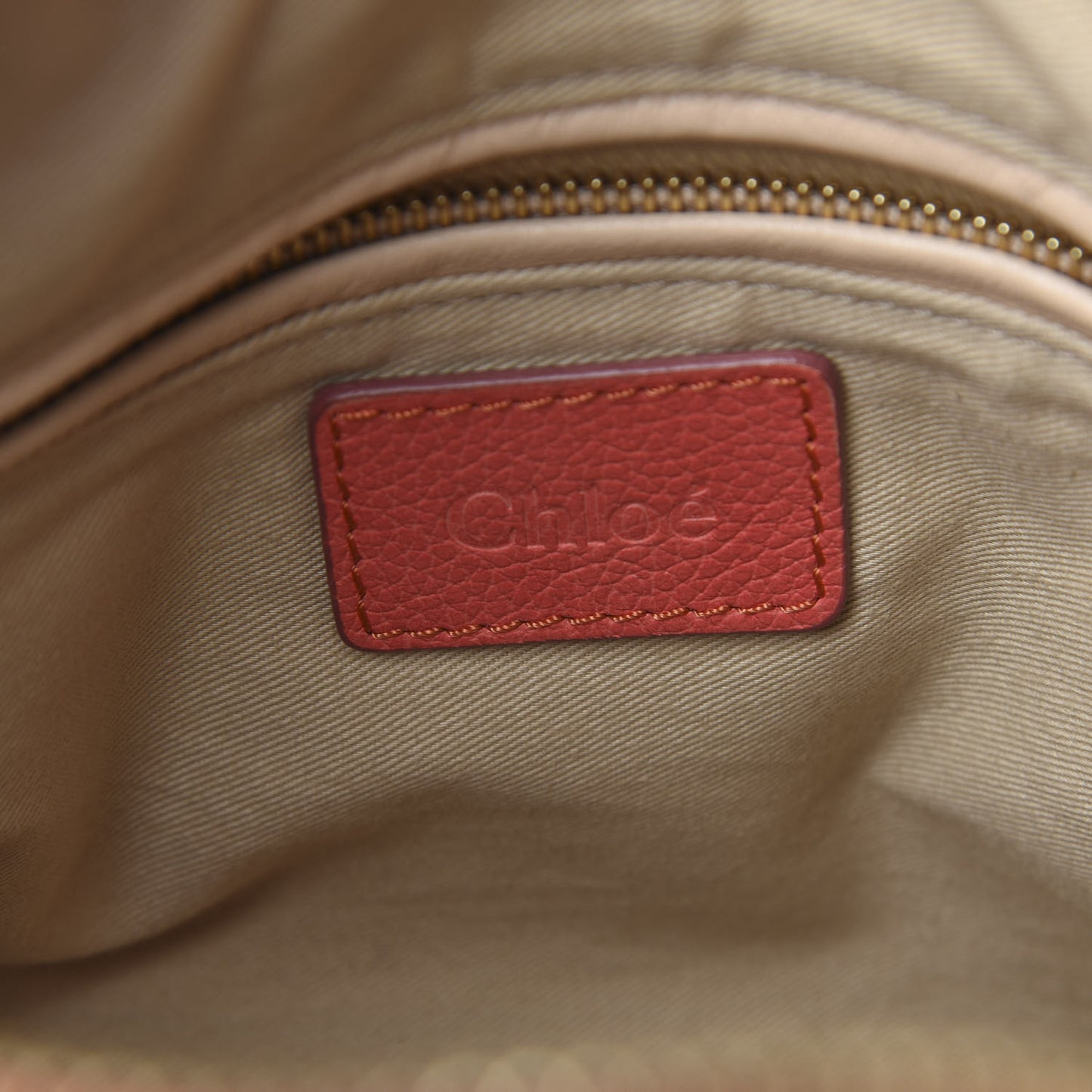 Calfskin Large Paraty Coral