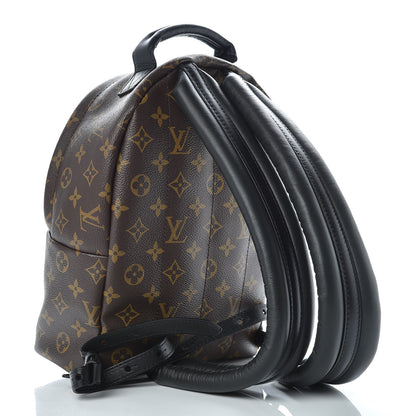 Louis Vuitton Monogram Palm Springs Backpack PM 3 of 11