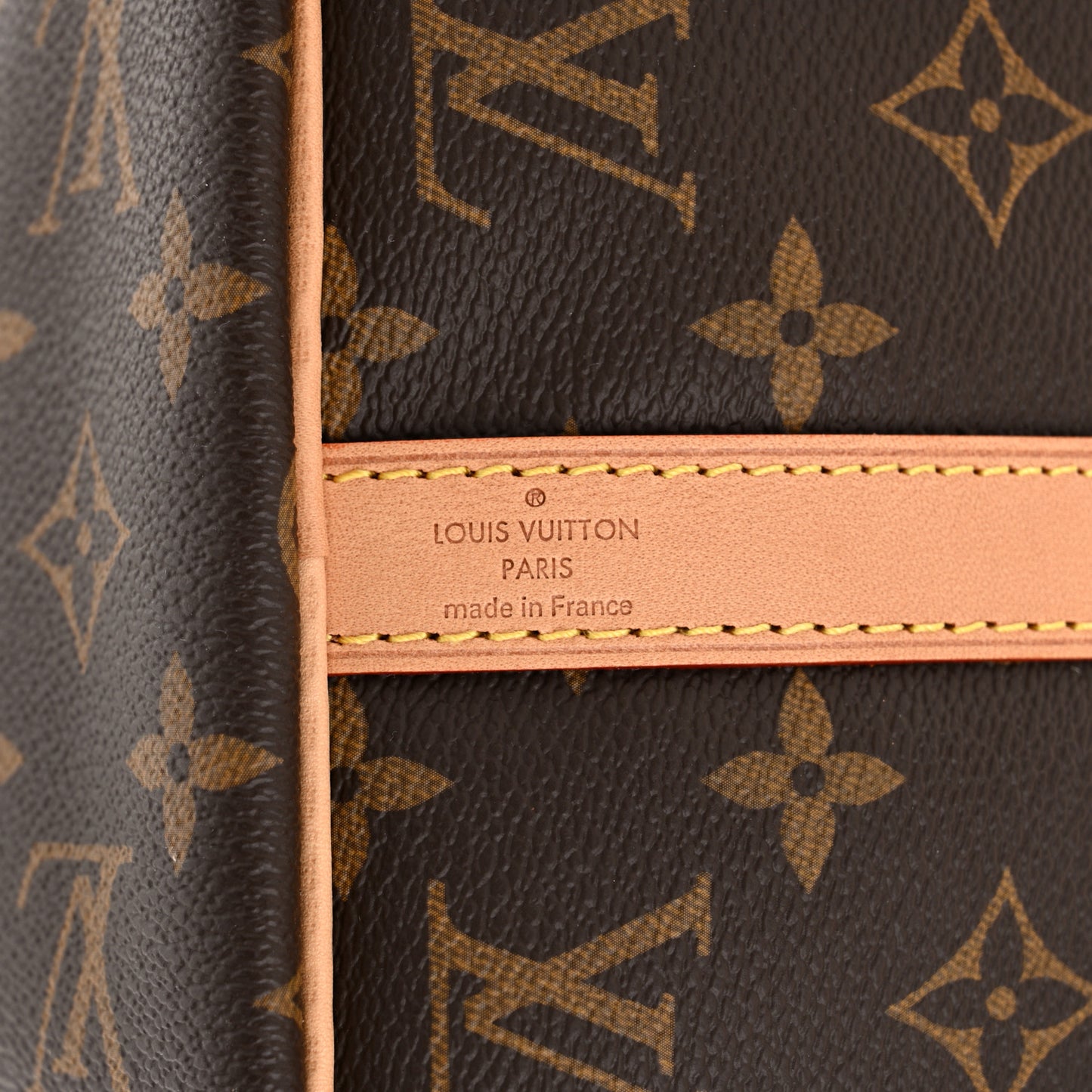 Monogram World Tour Speedy Bandouliere 30