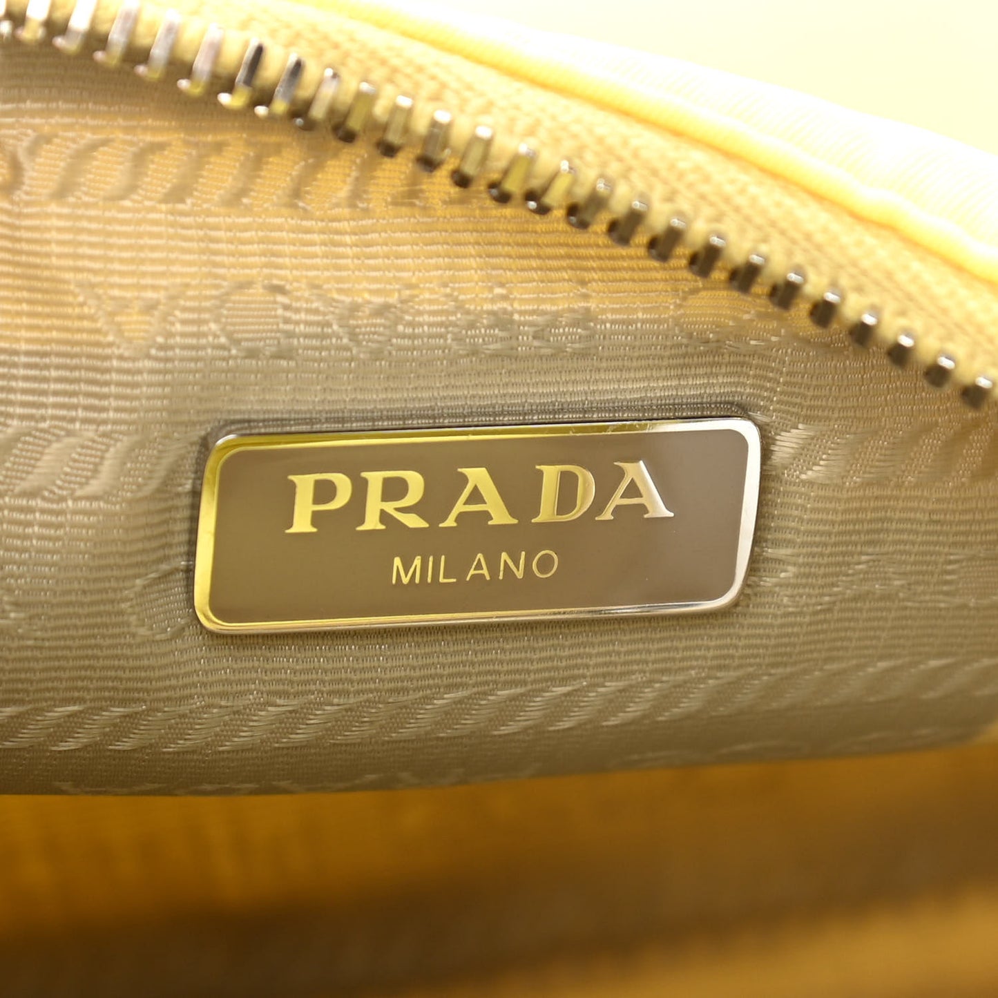 Nylon Saffiano Re-Edition 2005 Shoulder Bag Ananas