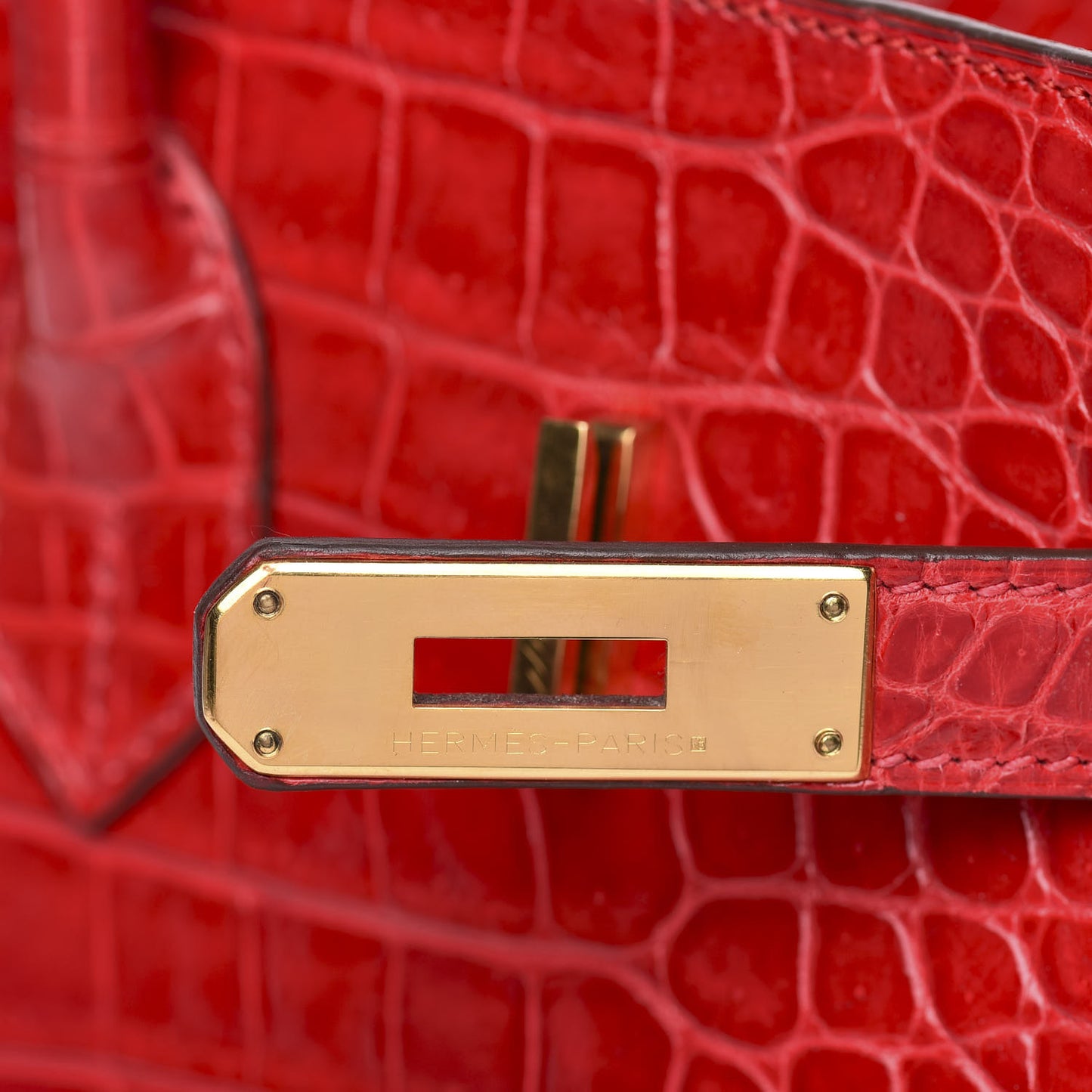 Shiny Porosus Crocodile Birkin 35 Braise