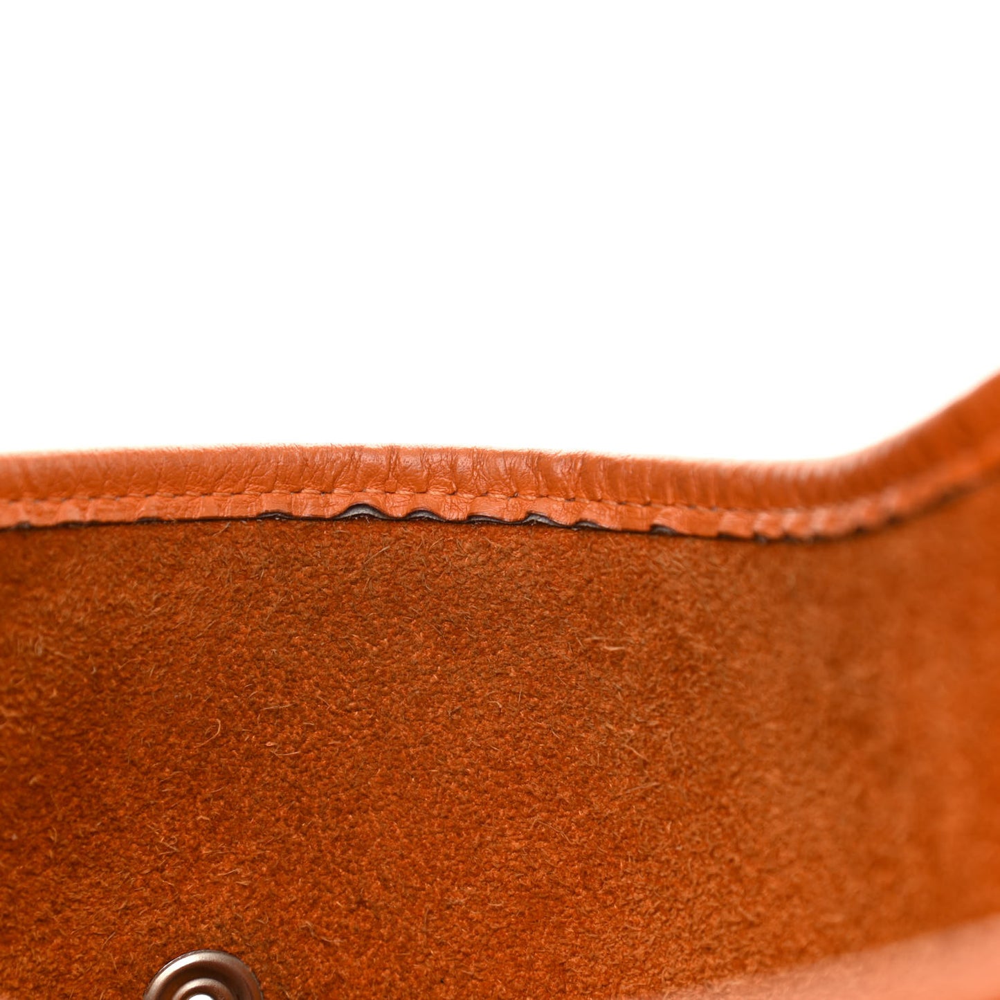 Taurillon Clemence Evelyne PM Orange