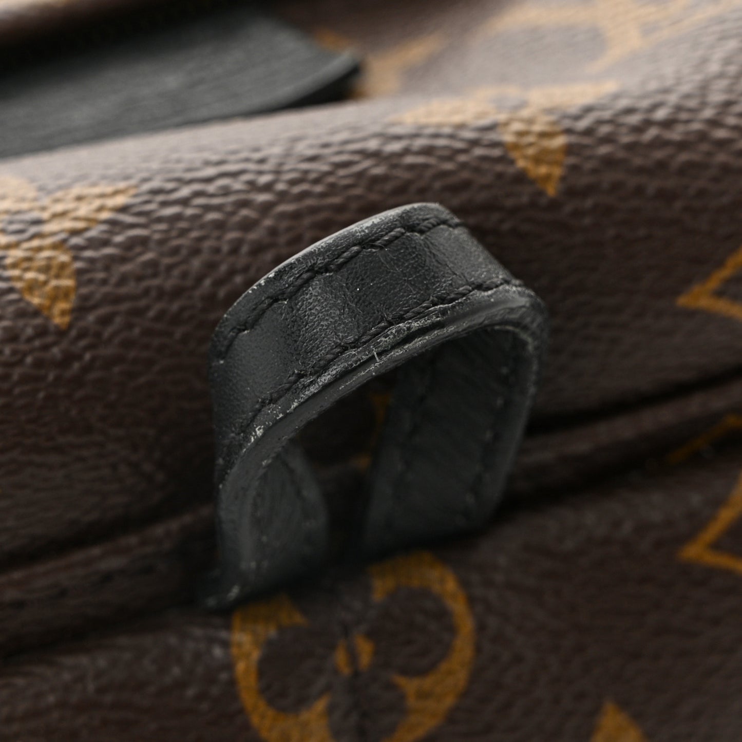 Monogram Palm Springs Backpack Mini
