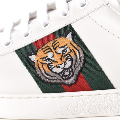 Gucci Calfskin Ayers Web Tiger Embroidered Mens Ace Sneakers 9.5 White Green Red 11 of 12