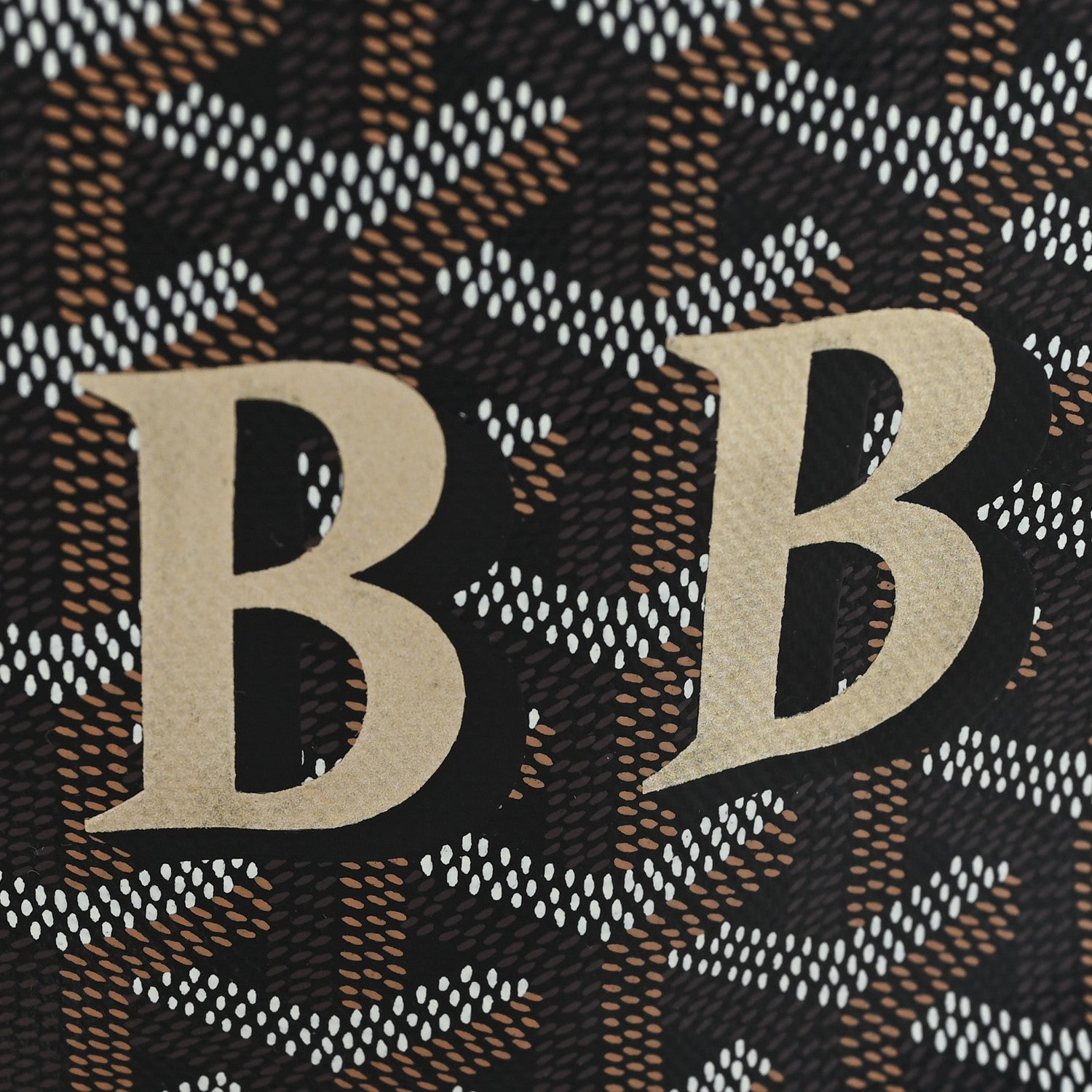 Goyard Goyardine Saint Louis PM Black 12 of 12