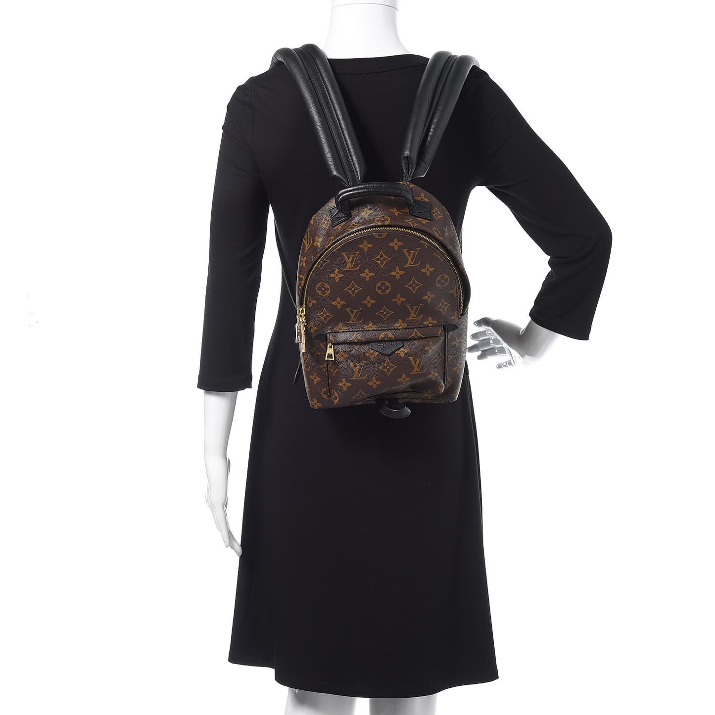 Monogram Palm Springs Backpack PM