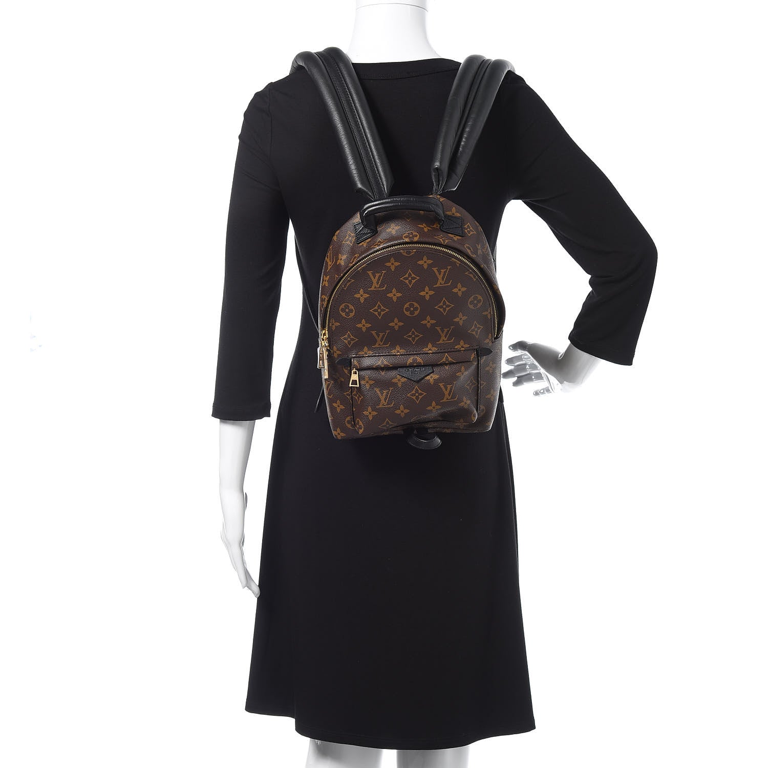 Louis Vuitton Monogram Palm Springs Backpack PM 2 of 9