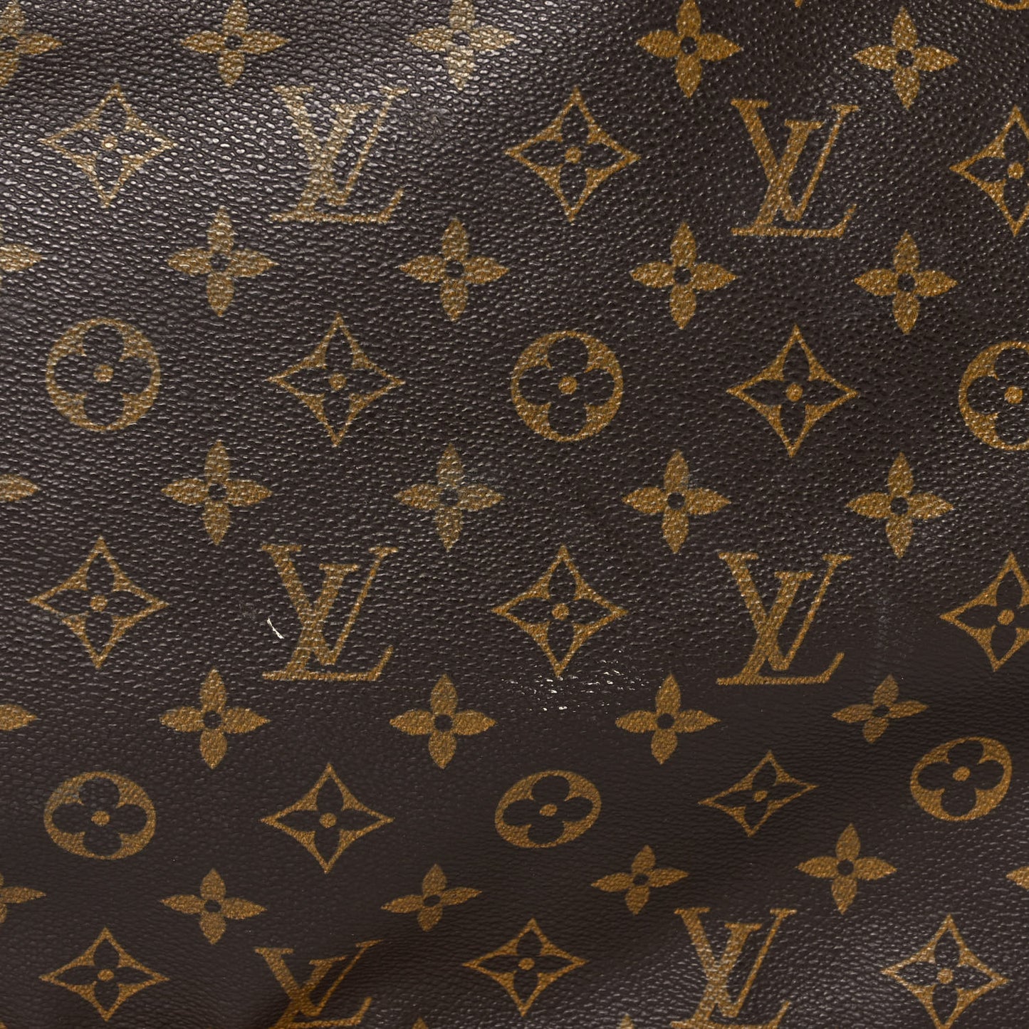 Monogram Garment Bag
