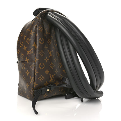 Louis Vuitton Monogram Palm Springs Backpack PM 3 of 8