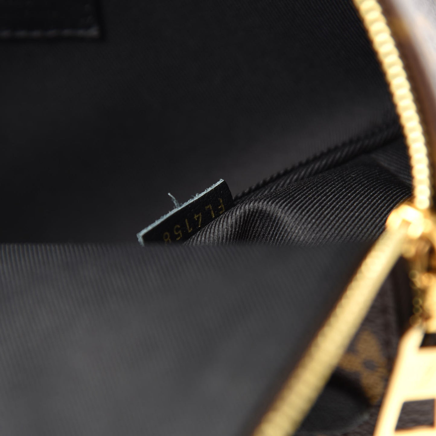 Monogram Palm Springs Backpack PM