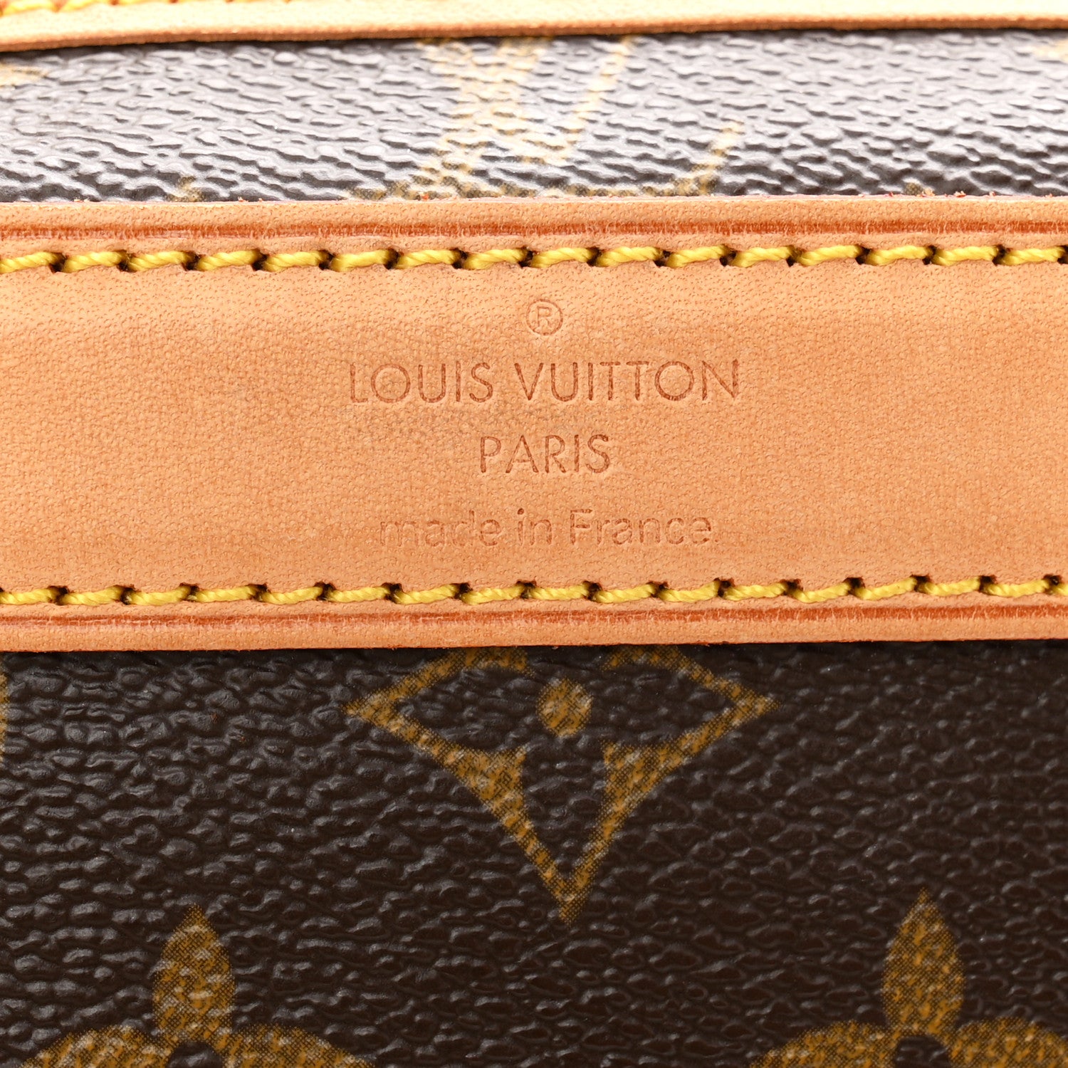Louis Vuitton Monogram Sac Chien 40 Pet Carrier 5 of 8