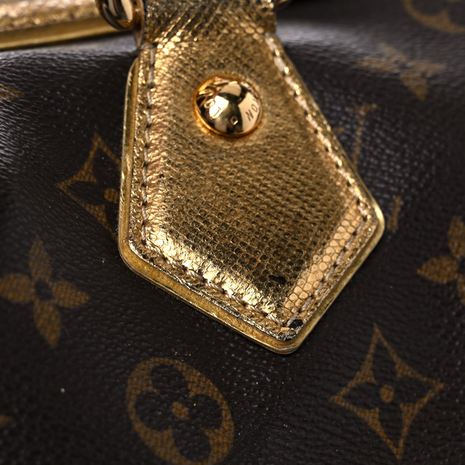 Louis Vuitton Monogram Leopard Stephen Bag 19 of 29