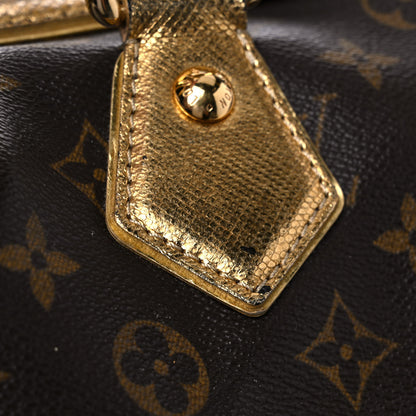 Louis Vuitton Monogram Leopard Stephen Bag 19 of 29