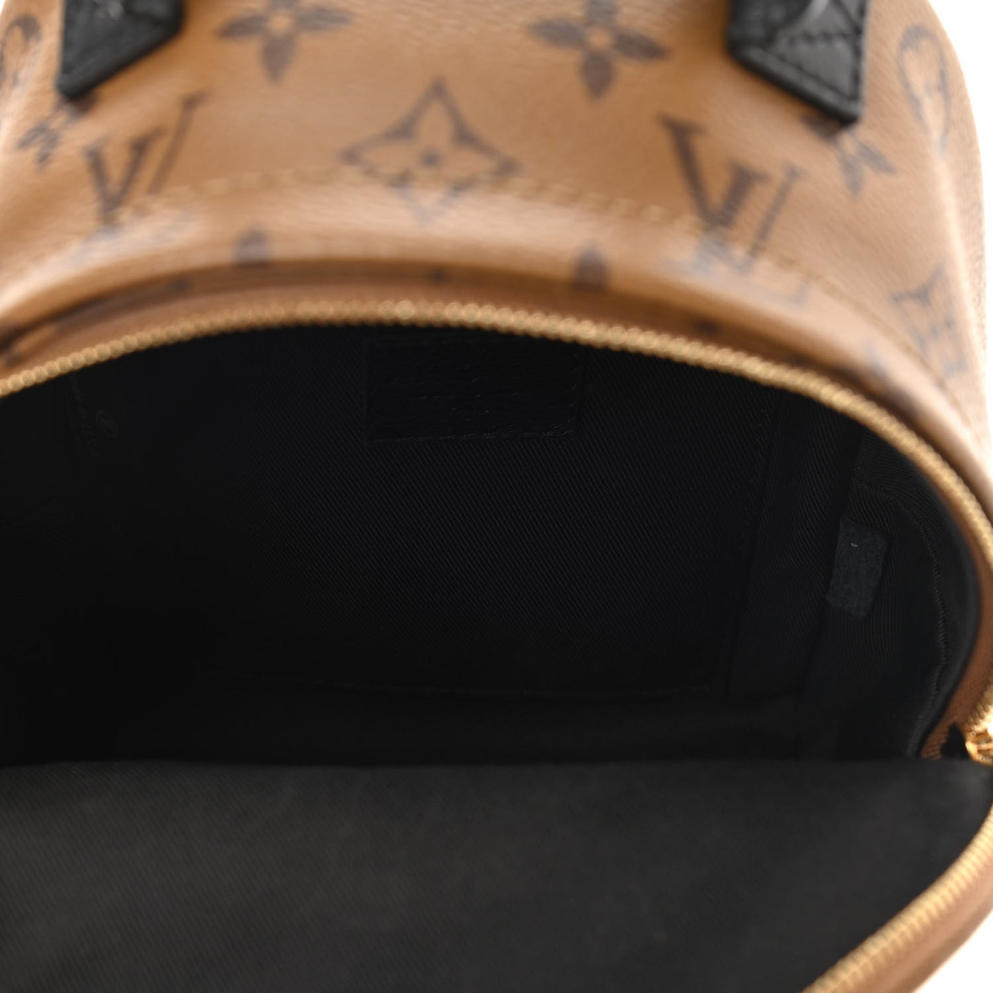 Reverse Monogram Palm Springs Backpack Mini