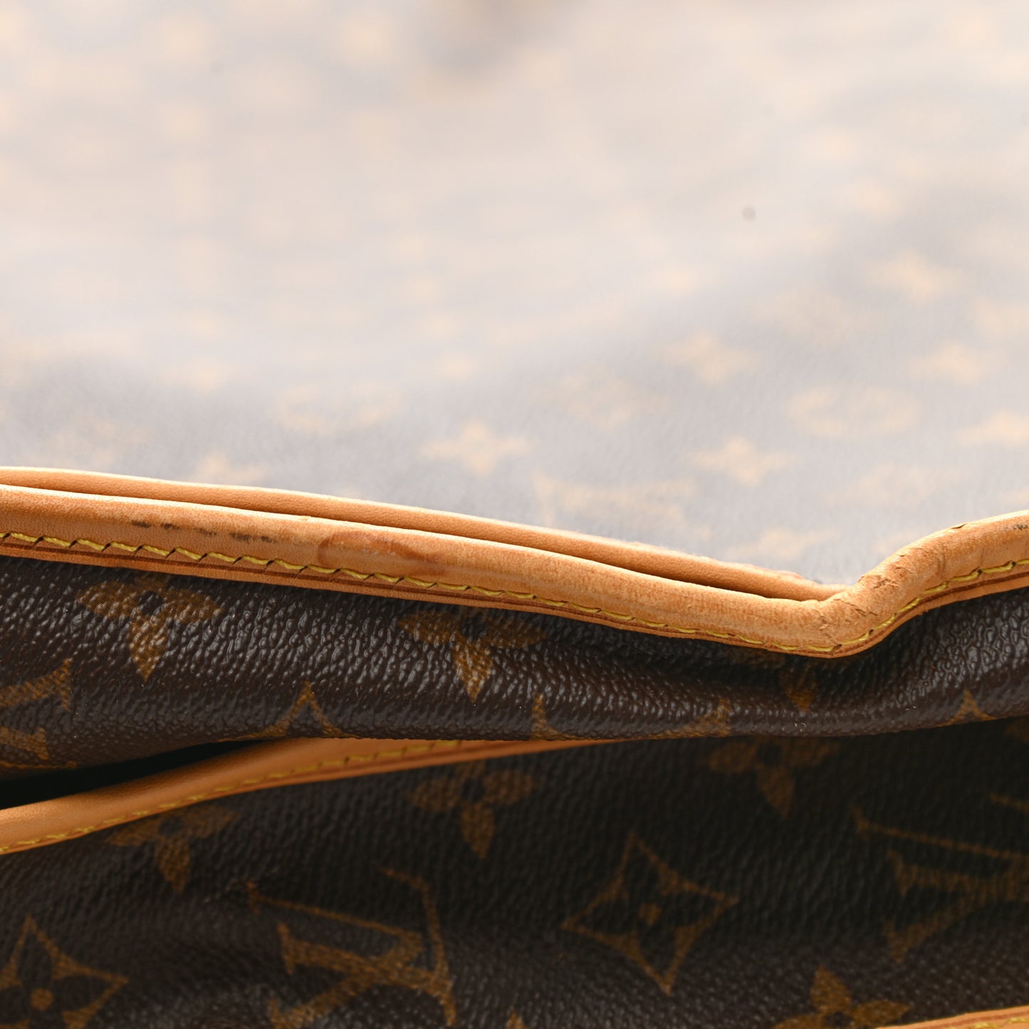 Monogram Garment Bag 3 Hangers