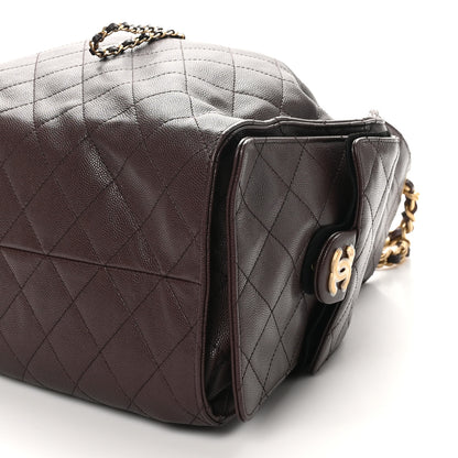 Chanel Caviar Quilted Medium Chanel 25 Handbag Dark Brown 11 of 11