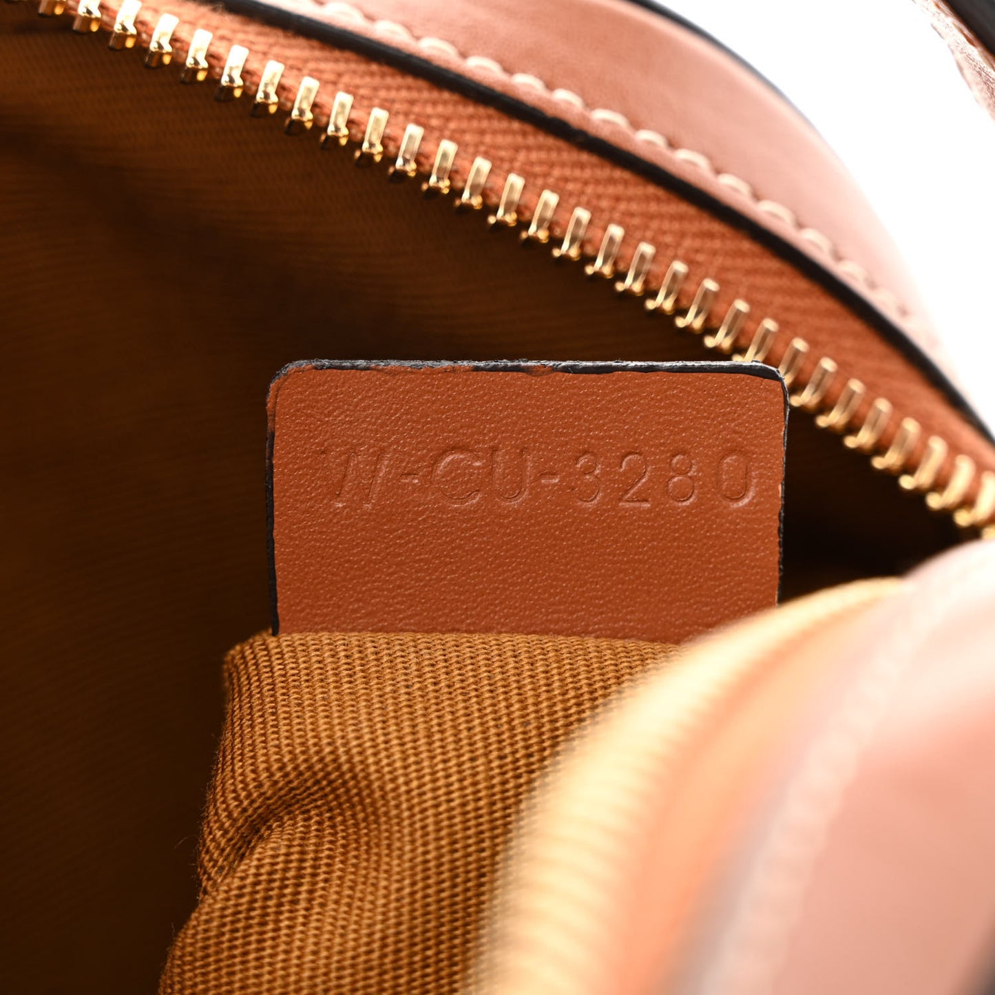 Triomphe Canvas Small Camera Bag Tan