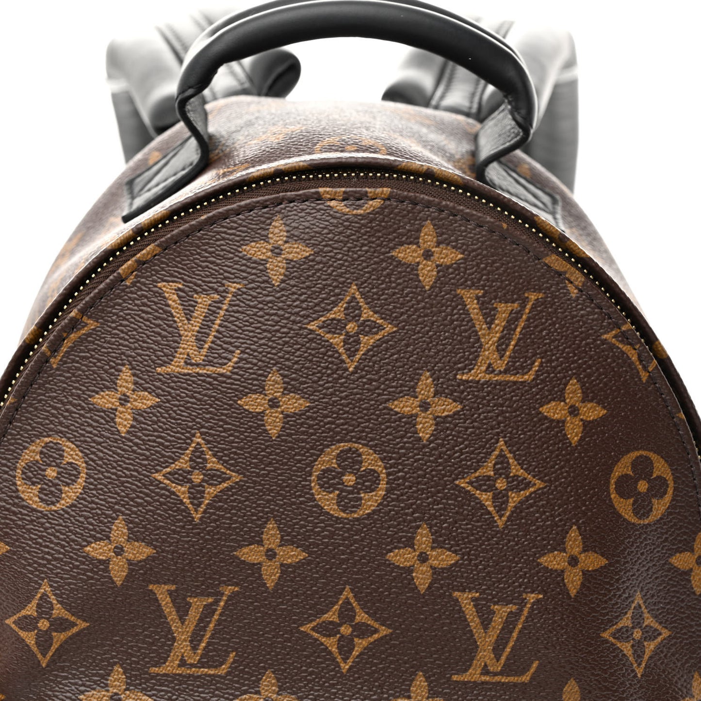 Monogram Palm Springs Backpack PM