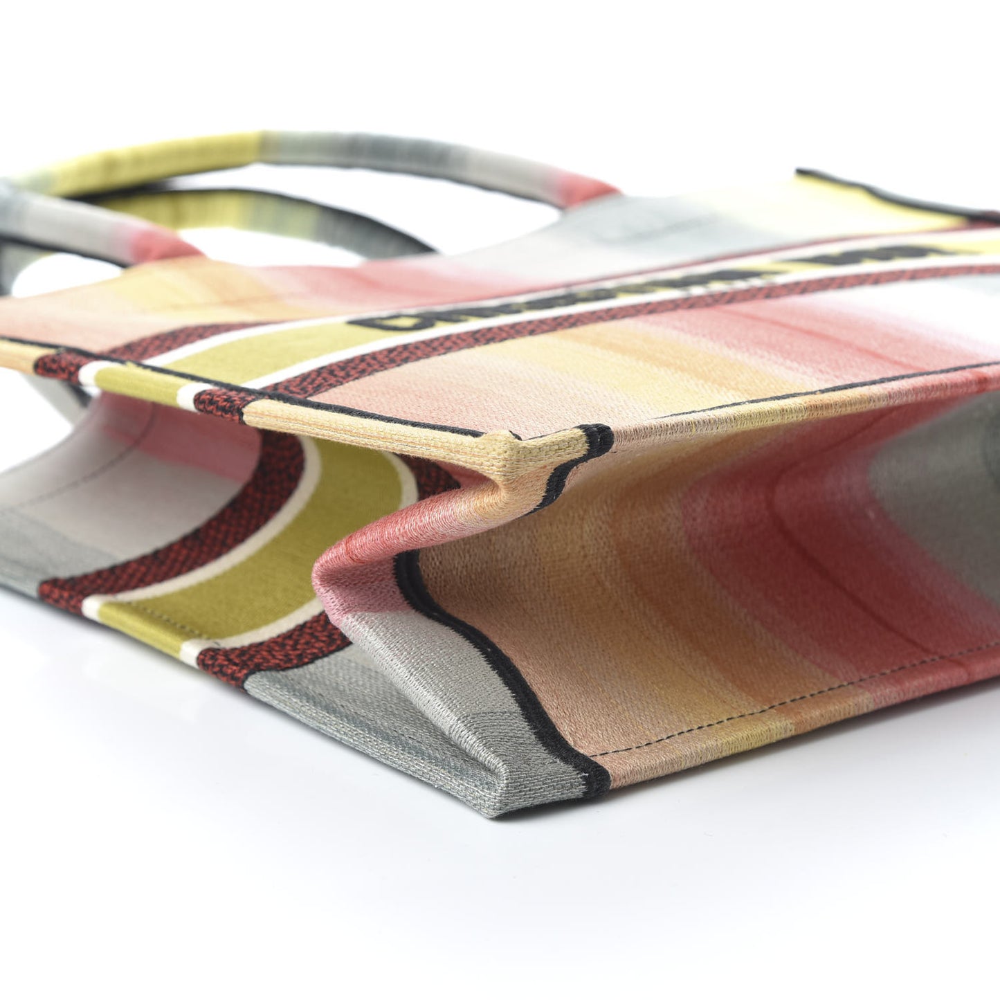 Canvas Embroidered Medium Dioraura Book Tote Multicolor