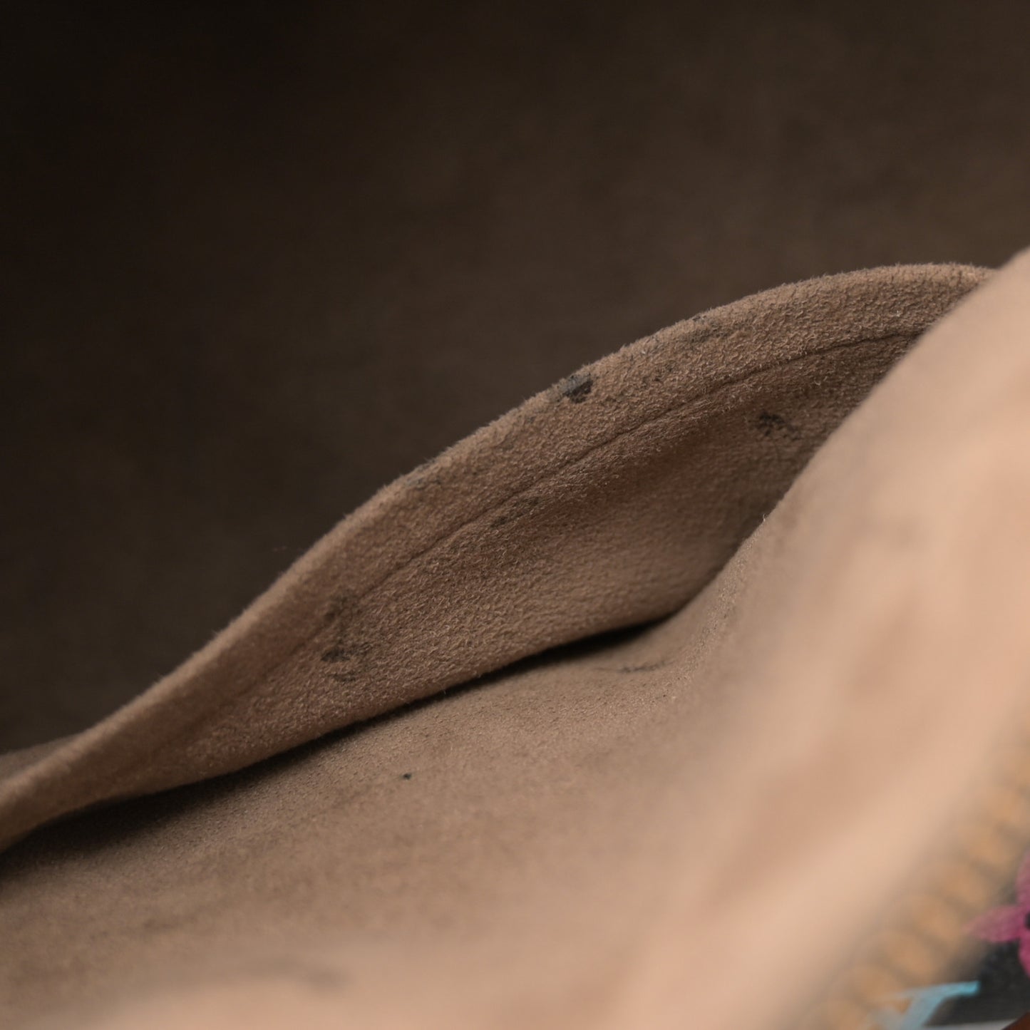 Monogram Multicolor Speedy 30 Black