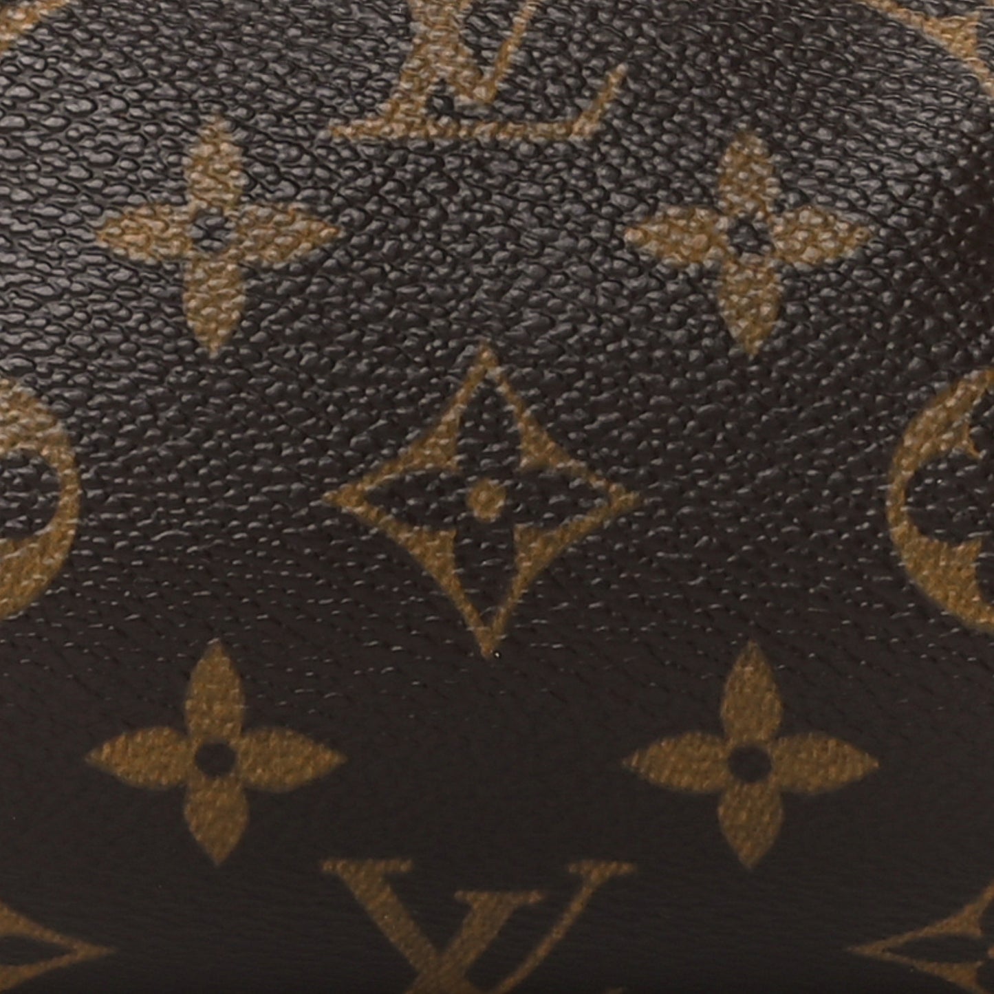 Monogram Papillon 19