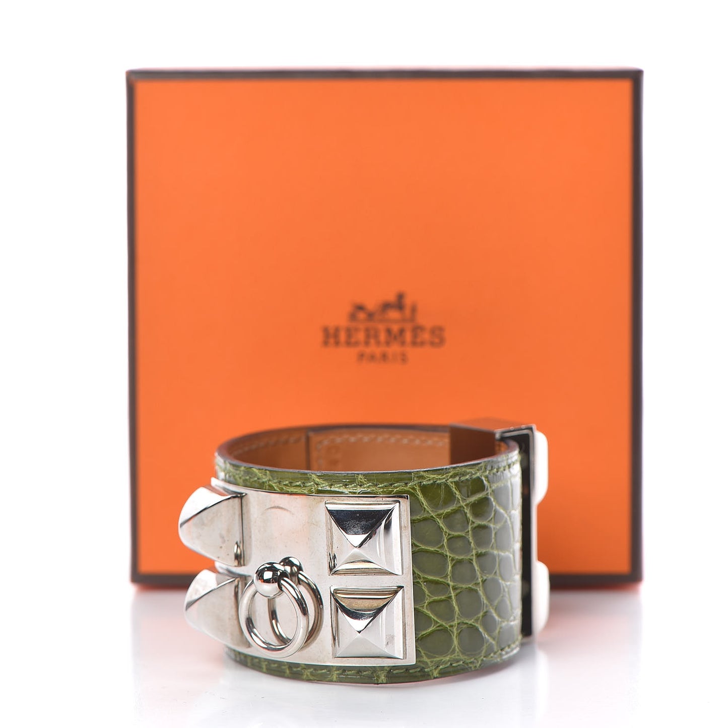 Shiny Alligator Collier De Chien CDC Bracelet Pelouse