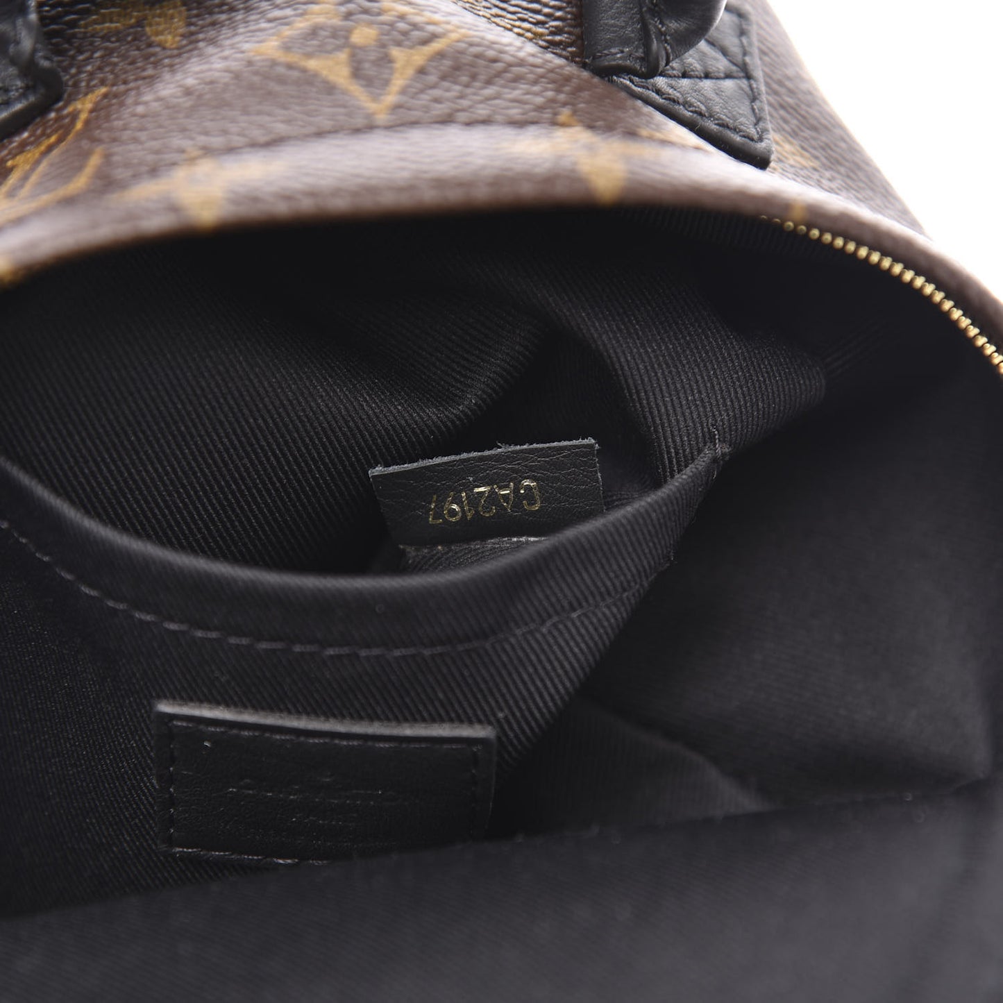 Monogram Palm Springs Backpack Mini