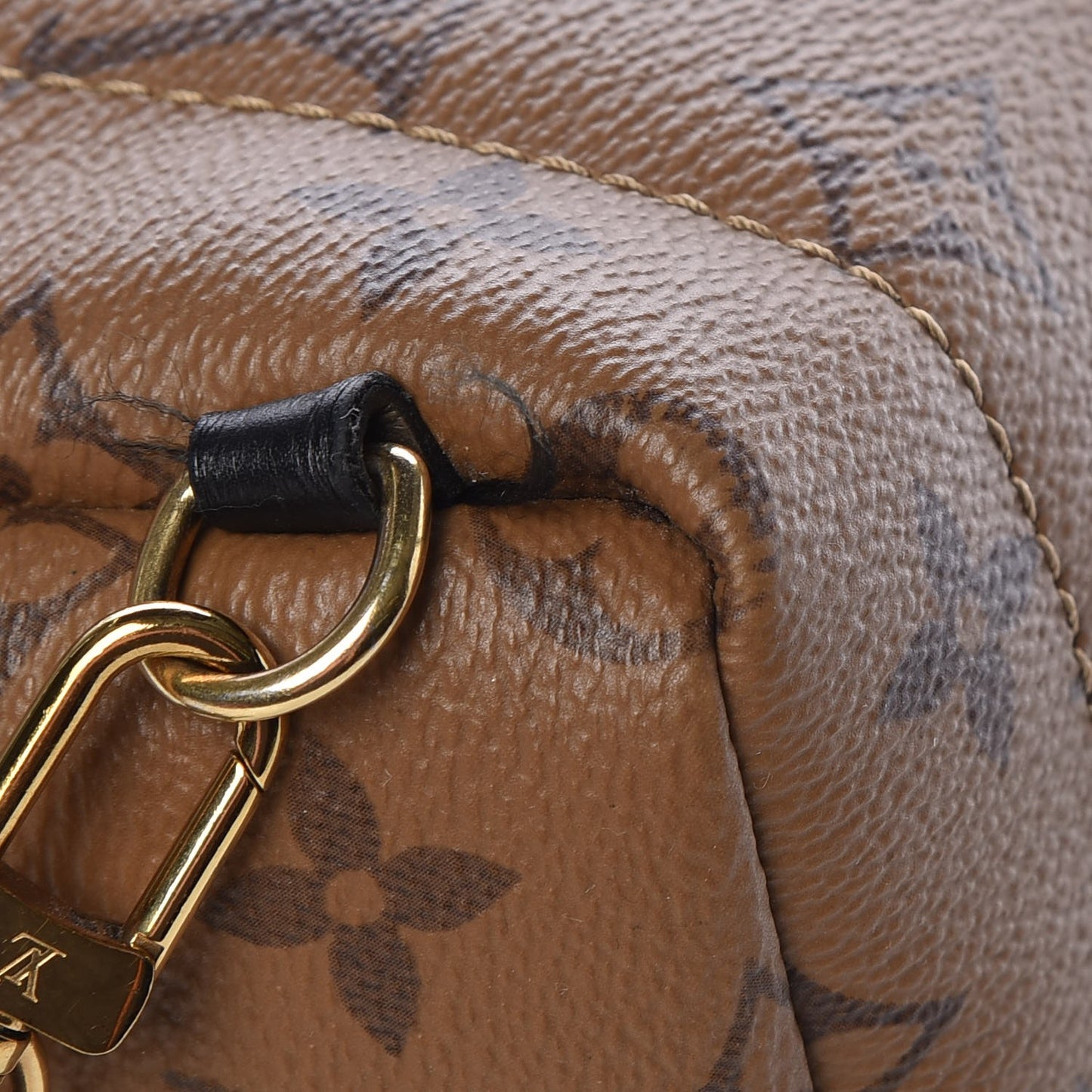 Reverse Monogram Palm Springs Backpack Mini