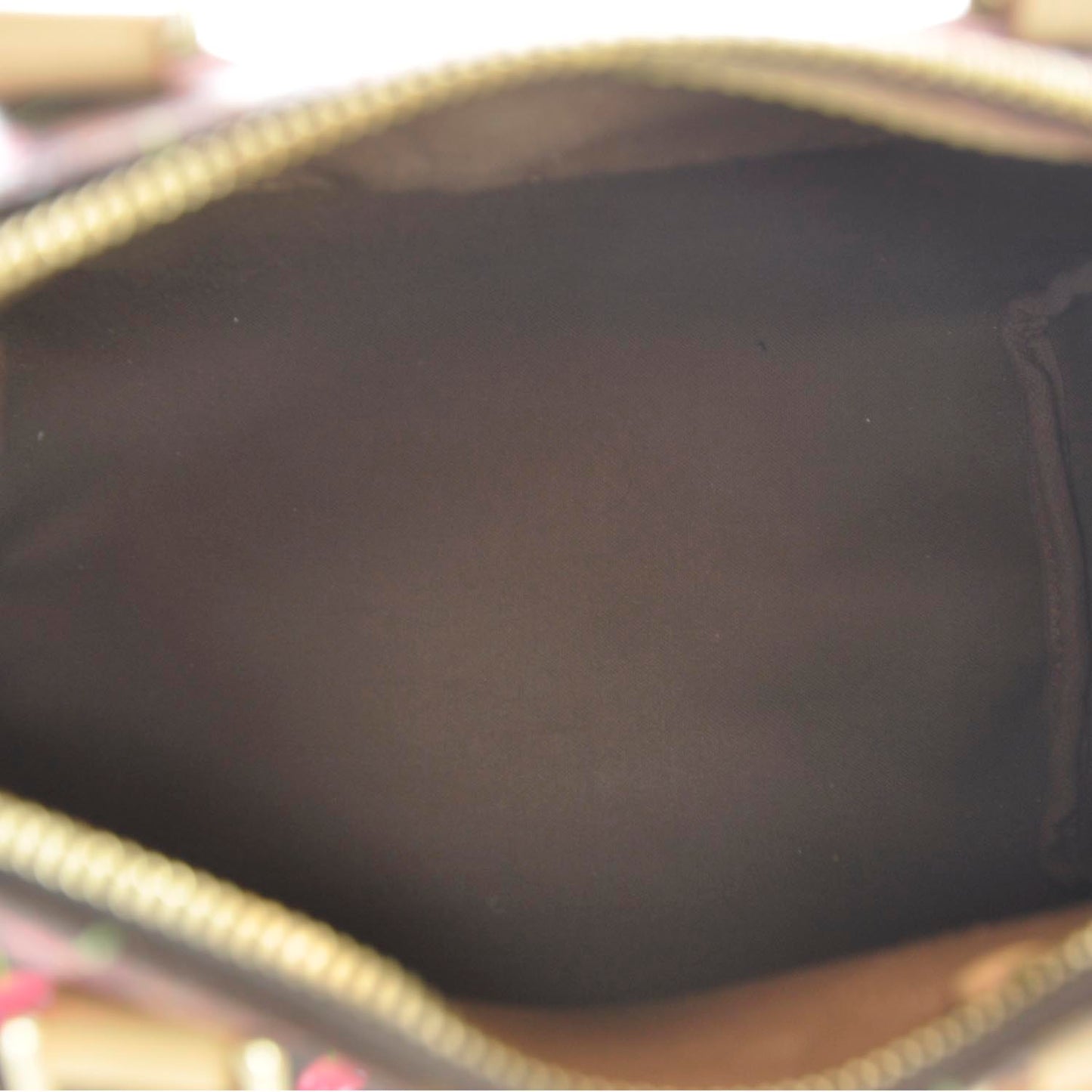 Monogram Cerises Speedy 25