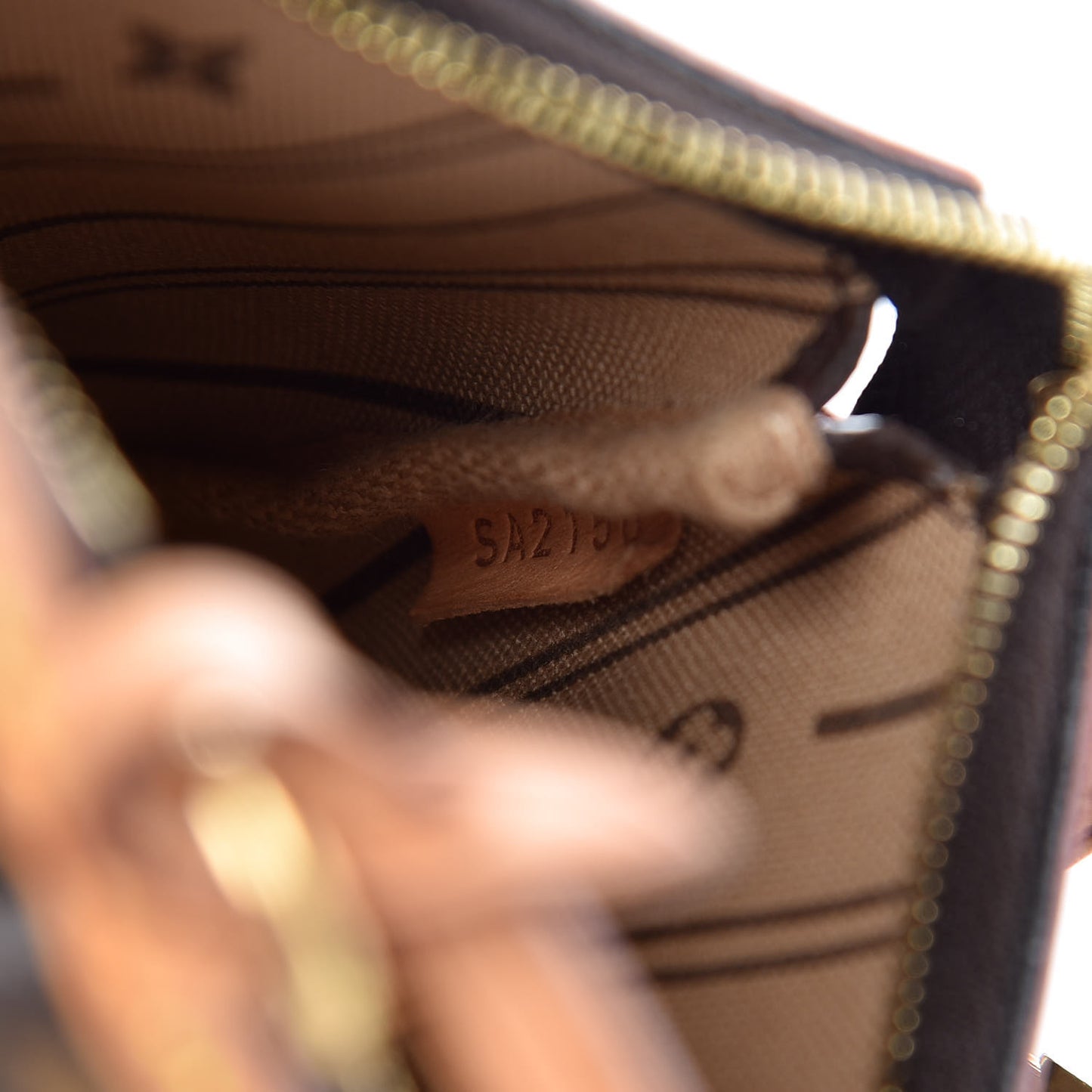 Monogram Mini Pochette Delightful